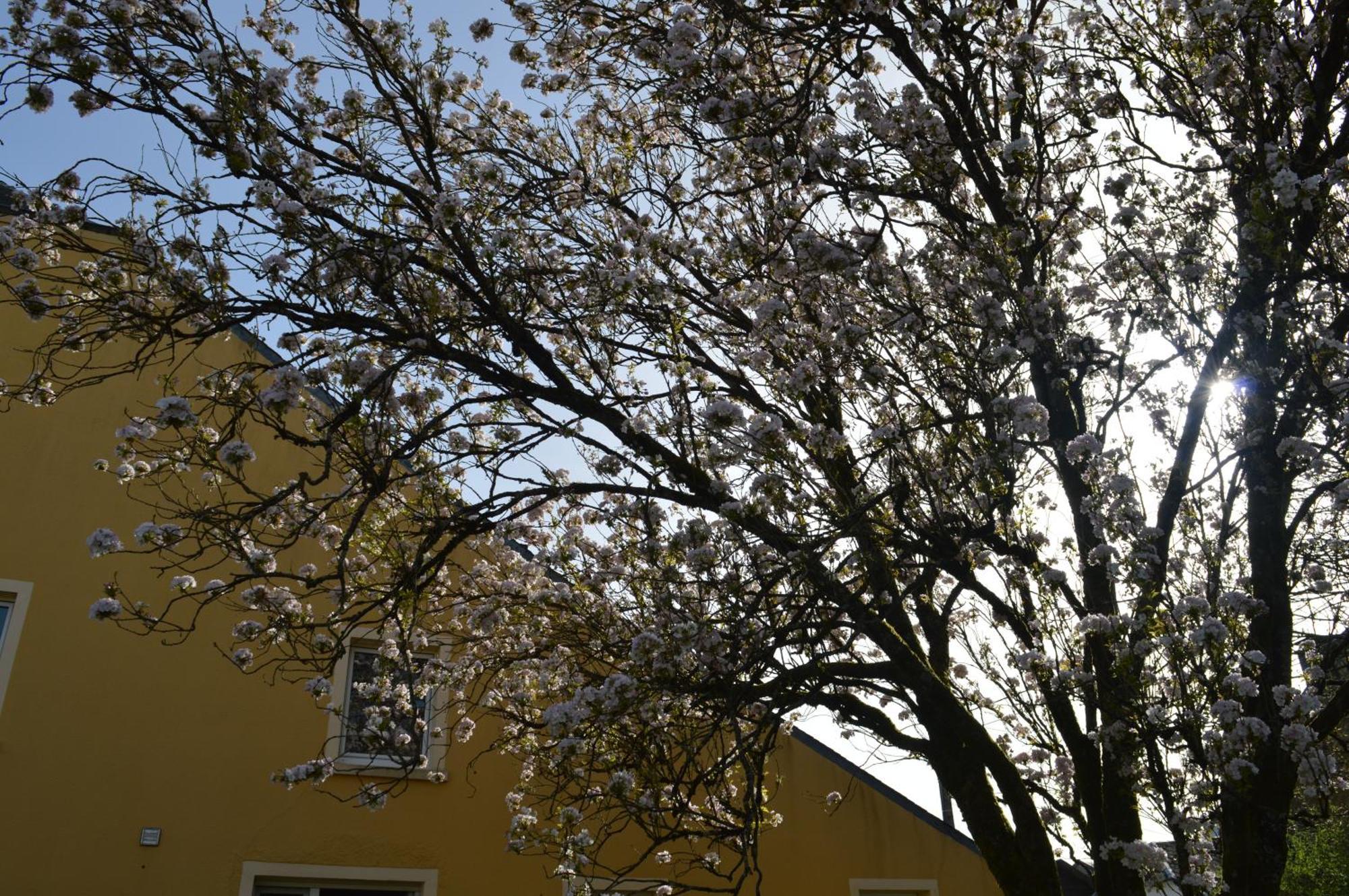 시니 Chez Nous 빌라 외부 사진